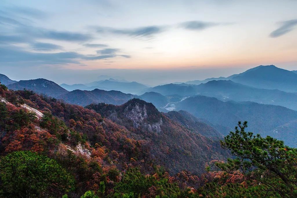 秦皇岛朱清峪最新消息,秦皇岛朱清峪最新消息，生态修复与旅游发展的融合典范