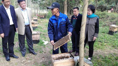 肇庆市冯敏强最新信息,肇庆市冯敏强的最新信息概览