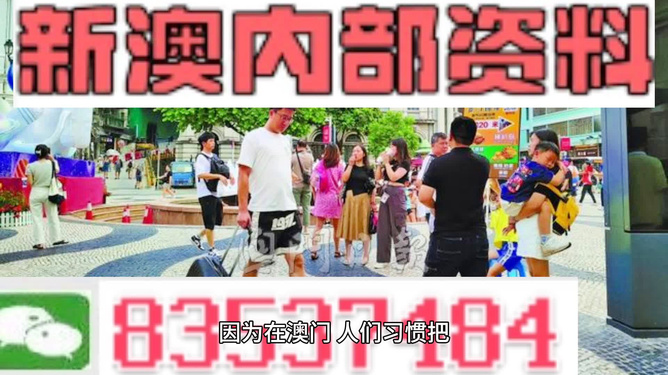 2024澳门资料大全正版资料免费,关于澳门资料大全及免费获取正版资料的探讨（犯罪问题警示）