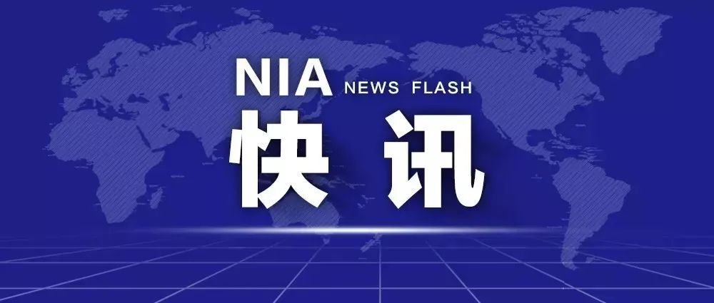 新澳2024正版资料免费公开新澳金牌解密,警惕虚假信息，远离非法赌博——关于新澳2024正版资料的真相解析