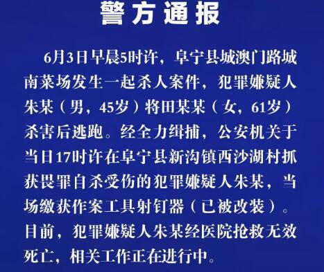 澳门一肖一特100精准免费,澳门一肖一特与犯罪行为的界限