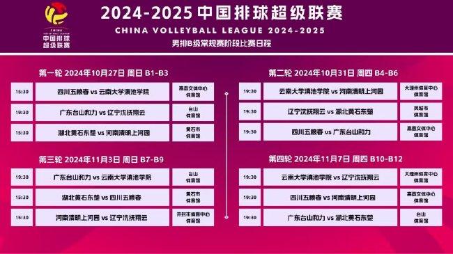 2024新澳正版免费资料大全,全面解析，2024新澳正版免费资料大全