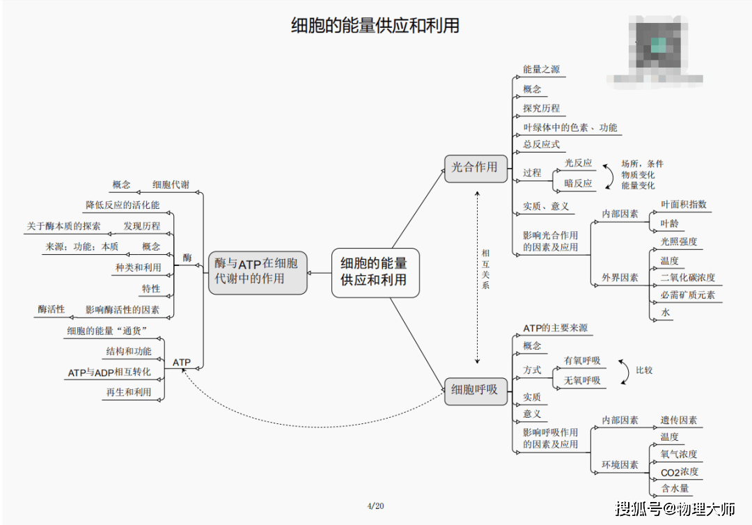 白小姐三肖三期必出一期开奖,警惕白小姐三肖三期必出一期开奖——揭开犯罪行为的真相