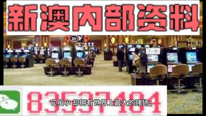 2024新澳最精准资料222期,揭秘2024新澳最精准资料第222期，深度分析与预测