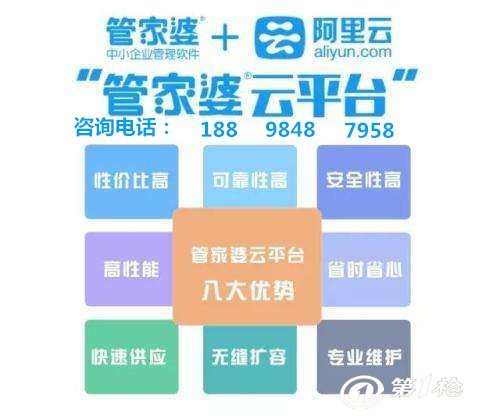 管家婆2024一句话中特,管家婆2024，一句话中的特别之处