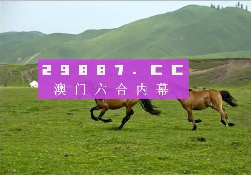 7777788888新版跑狗图,探索新版跑狗图，77777与8888的魅力之旅