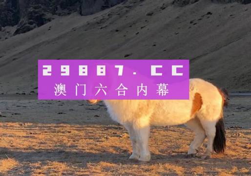 2025澳门正版免费码资料,澳门正版免费码资料，探索与理解